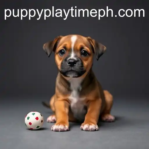 The Art of Responsible Gambling: Lessons from 'Puppy Playtime'
