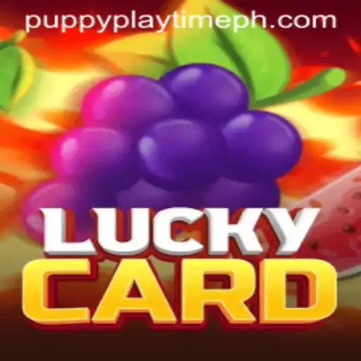 Discover the Excitement of LuckyCard and Puppy Playtime